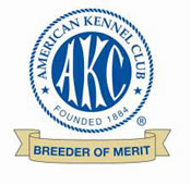 crescent golden retrievers, breeder of merit