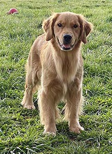 Crescent Oh the Places You'll Go! aka bixby