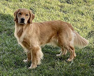 Crescent Oh the Places You'll Go! aka bixby