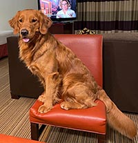 Crescent Oh the Places You'll Go! aka bixby