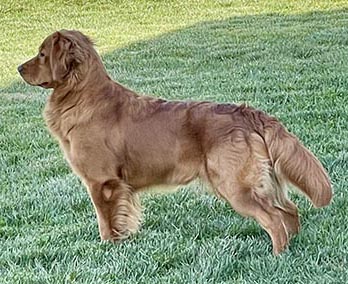 Crescent Oh the Places You'll Go! aka bixby